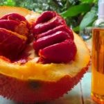 cách trị nám da bằng dầu gấc