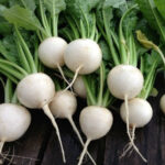 Ngạc nhiên với cách chữa nám da mặt từ củ cải trắng