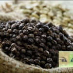 “Bóc trần” những bí quyết trị nám hiệu quả từ hạt tiêu