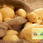 3 Phút với 5 cách trị nám da hiệu quả từ khoai tây